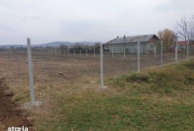 Teren de 8071 mp, în Lipănești - 6
