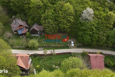 Casă cu 4 camere cu Teren 891 Mp în Ighiu - 16
