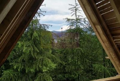 Casă cu Canalizare în Valea Doftanei - 4