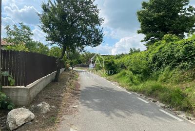 Teren Construcții intravilan de 15900 mp, în Fințești - 23