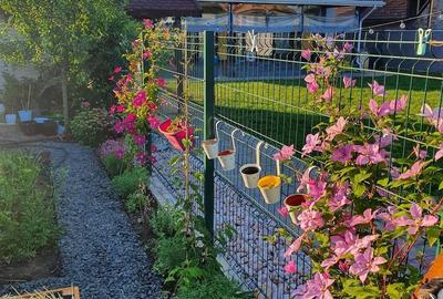 Casă cu 5 camere cu Teren 879 Mp în Dumbrăvița - 5