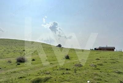 Teren de 1003 mp, în Paltin - 3