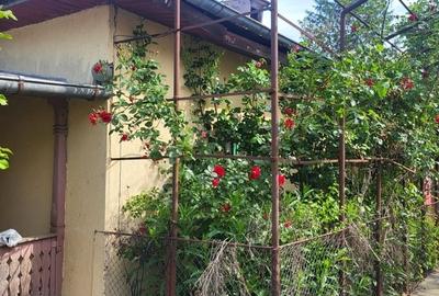 Casă cu 3 camere cu Teren 2200 Mp în Central