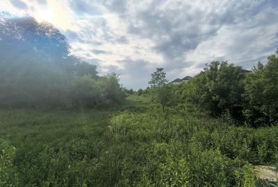 Teren agricol extravilan de 10000 mp, în Fălticeni - 1