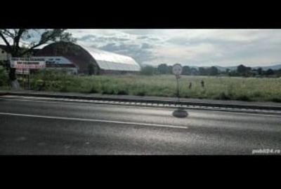 Teren Construcții intravilan de 5000 mp, în Florilor - 1