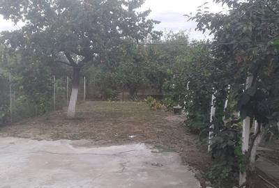 Casă cu 4 camere în Micălaca - 6