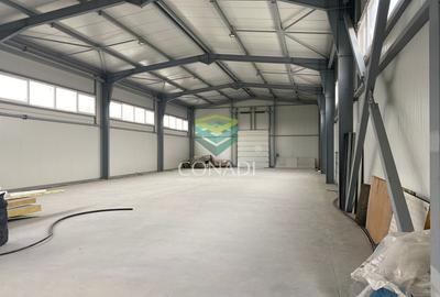 Spațiu industrial, de 3,241 mp, în Est - 8