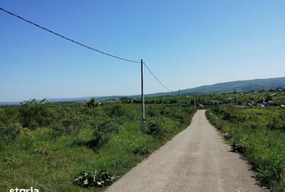 Teren de 350 mp, în Bârnova