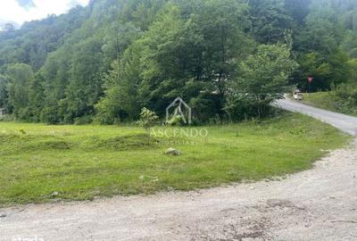 Spațiu comercial, în Podu Dâmboviței - 20