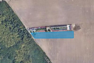 Teren de 15500 mp, în Belciugatele - 1