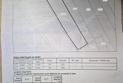 Teren agricol intravilan de 8700 mp, în Chinteni - 4
