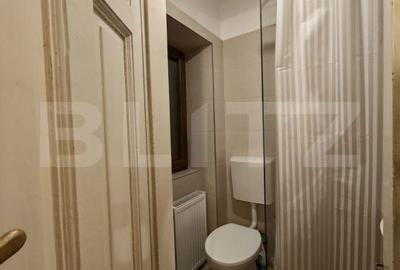 Apartament cu 3 camere în Iosefin