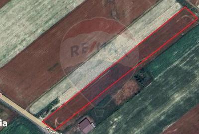 Teren de 12360 mp, în Vulturu - 1