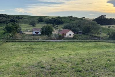 Casă cu 3 camere în Tritenii-Hotar - 16