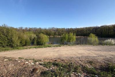 Teren Construcții intravilan de 1200 mp, în Brănești - 3