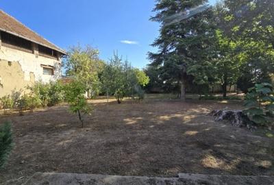 Casă individuală cu 2 camere cu Teren 549 Mp în Cenad - 9