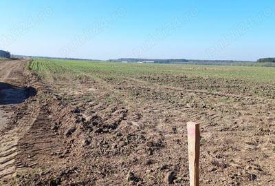 Teren de 7000 mp, în Brănești