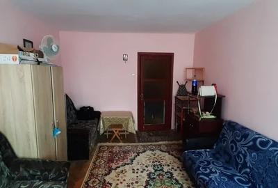 Garsonieră decomandată, mobilată în Podu Roș - 2