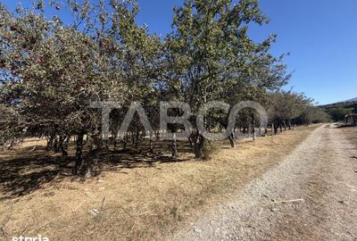 Teren de 750 mp, în Sâmbăta de Sus