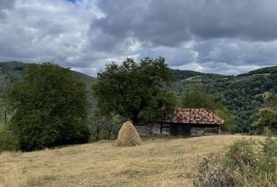Teren de 10100 mp, în Bratca