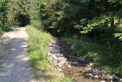 Teren de 15 mp, în Tulgheș - 2