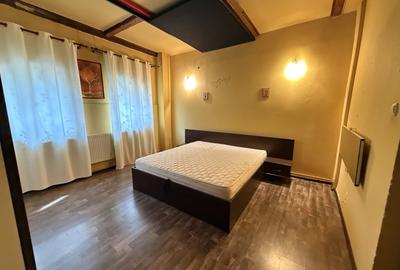 Apartament cu 2 camere nedecomandat, mobilat în Mehala - 4