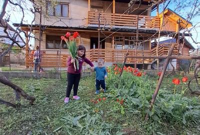 Casă cu 4 camere în Central - 2