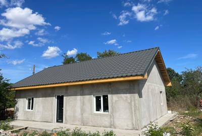 Casă cu 2 camere în Mereni