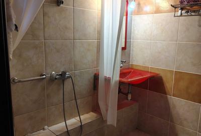 Apartament cu 2 camere decomandat în Dristor - 1