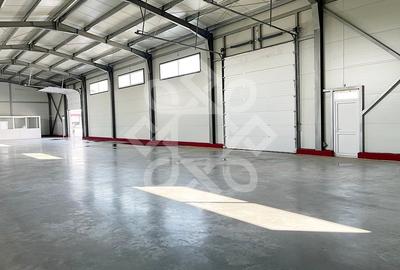 Spațiu industrial, de 400 mp, în Vest - 3