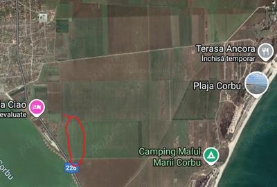 Teren de 5000 mp, în Corbu - 3