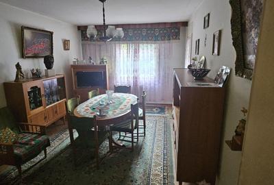 Apartament cu 4 camere decomandat în Podu Roș - 7