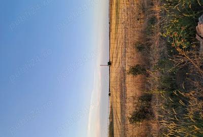 Teren de 8000 mp, în Brăniștari - 3