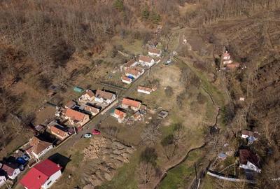 Teren de 302 mp, în Șoimoș - 14