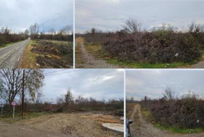 Teren agricol intravilan de 6749 mp, în Ciolpani