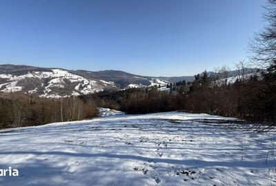 Teren de 21053 mp, în Vama - 5
