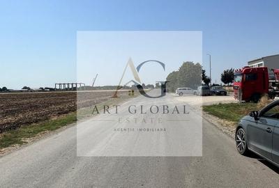 Teren Construcții intravilan de 65600 mp, în Căciulați - 9