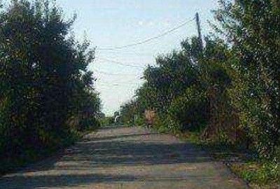 Teren de 644 mp, în Copăceni - 10