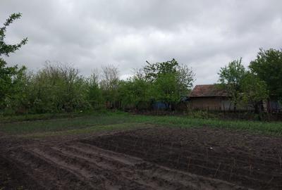 Casă cu 3 camere în Traian - 2