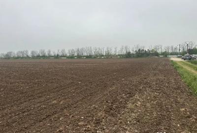 Teren de 600 mp, în 23 August
