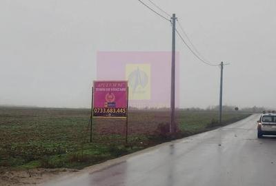 Teren de 5050 mp, în Dragomirești-Vale