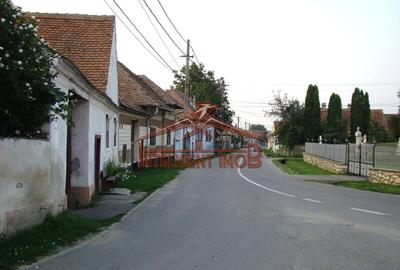 Teren Construcții intravilan de 4600 mp, în Porumbacu de Sus - 9