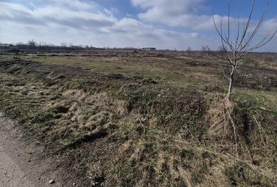Teren de 846 mp, în Gura Ocniței - 12