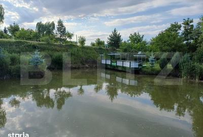 Teren de 6000 mp, în Ilișești - 8