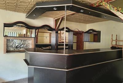 Casă cu 4 camere cu Teren 4000 Mp în Țaga