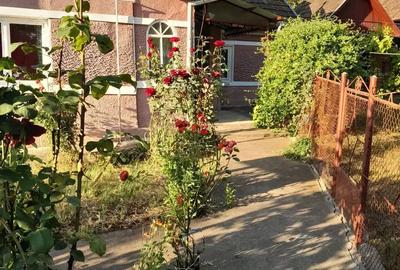 Casă cu 3 camere cu Teren 1600 Mp în Zau de Câmpie - 2