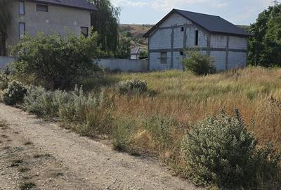 Spațiu comercial, în Valu lui Traian