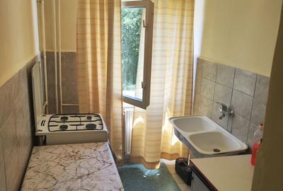 Apartament cu 2 camere decomandat în Buziașului - 2