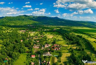 Casă cu 6 camere cu Teren 3269 Mp în Bistra Mureșului