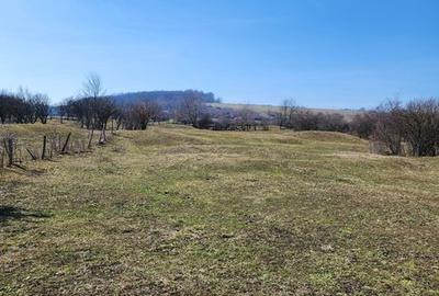 Teren de 4000 mp, în Pianu - 1